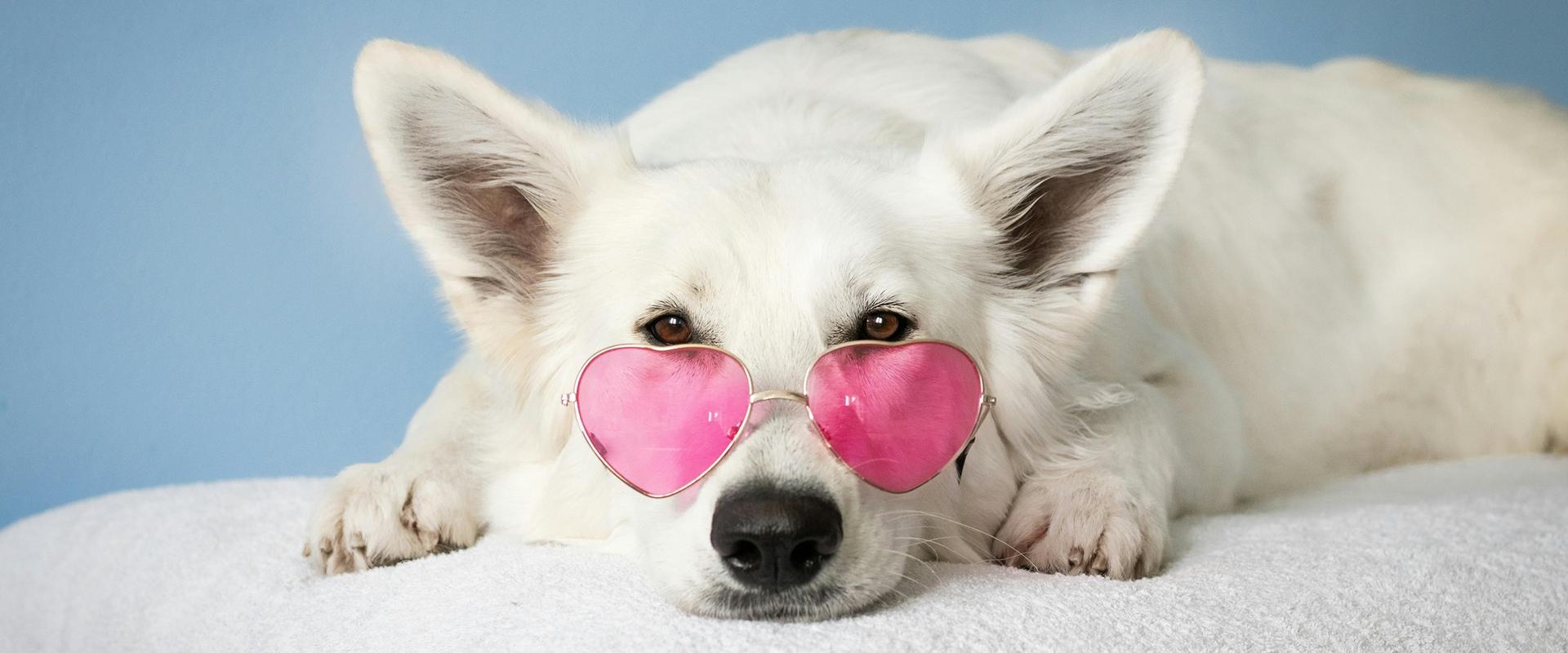 康美恰恩堤 艺术酒店 ボローニャ 康美恰恩堤 艺术酒店 ボローニャ